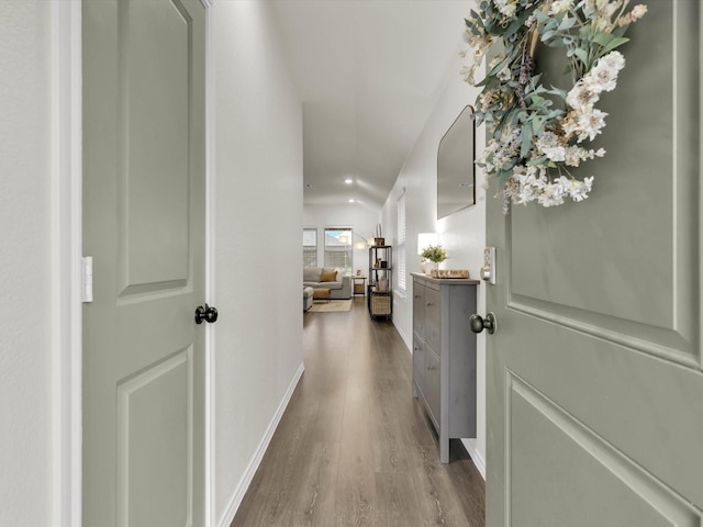 corridor featuring wood-type flooring