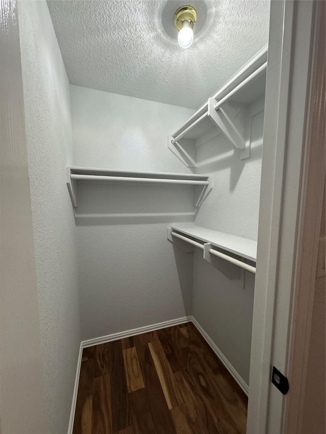 spacious closet featuring dark wood-type flooring