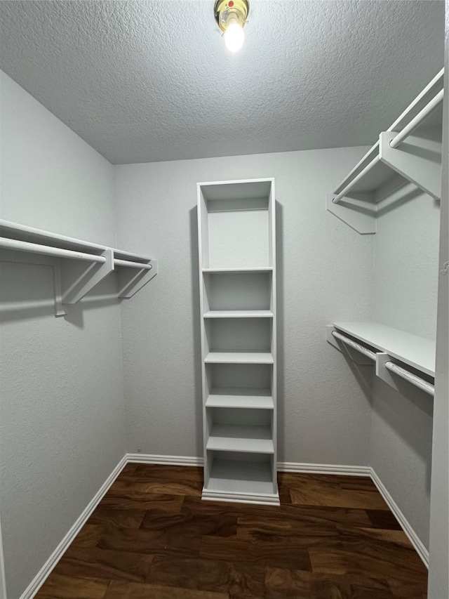 spacious closet with dark wood-type flooring