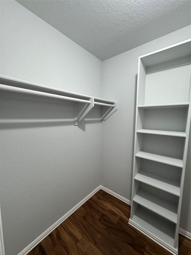 spacious closet featuring dark wood-type flooring