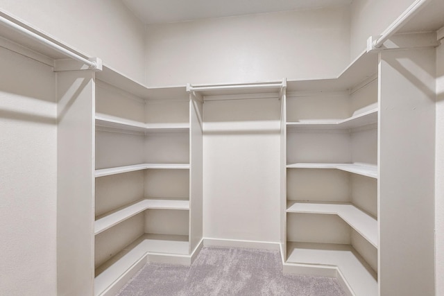 walk in closet featuring light carpet