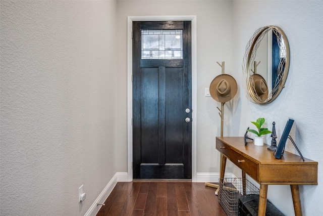 foyer entrance featuring dark wood-type flooring