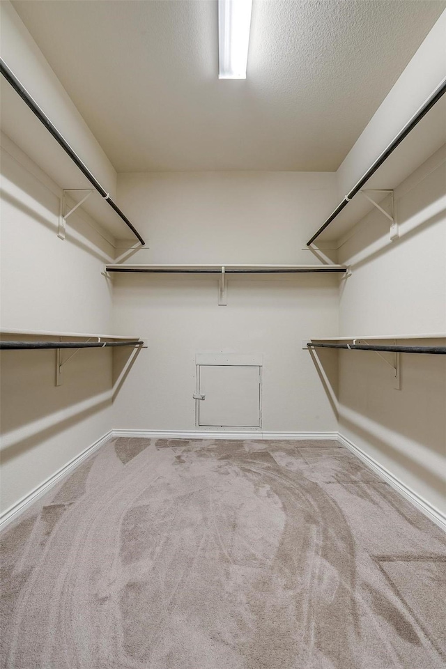 spacious closet featuring light carpet