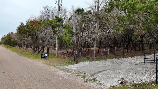 Listing photo 3 for 0 County Road 1304, Morgan TX 76671