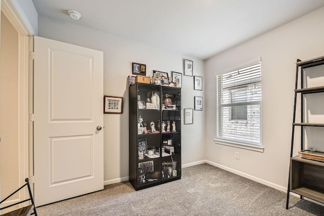 miscellaneous room with carpet