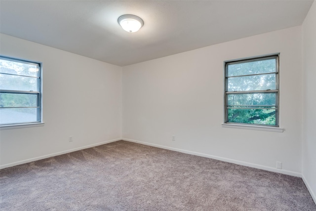 spare room featuring carpet floors