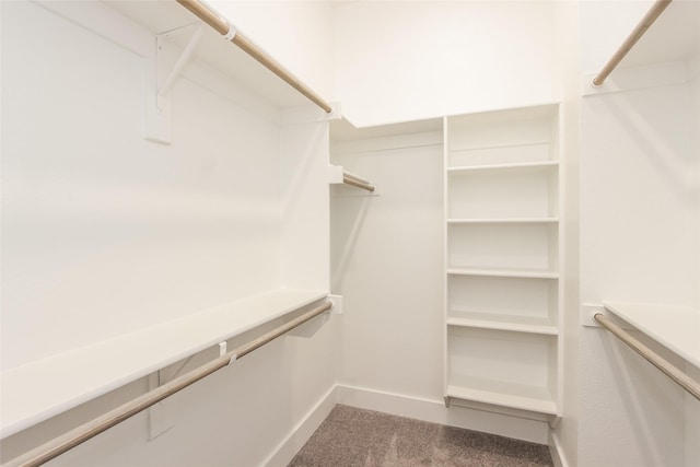 spacious closet with carpet