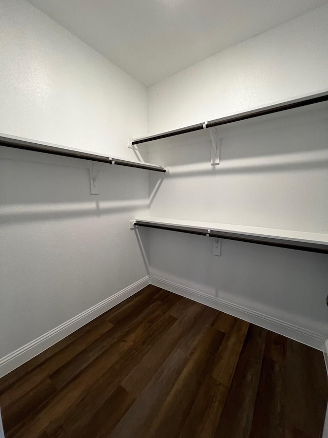 spacious closet with dark wood-type flooring