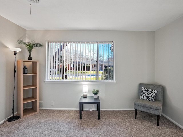 sitting room with carpet floors