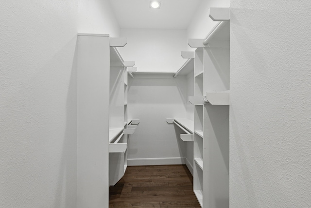 walk in closet featuring dark hardwood / wood-style flooring