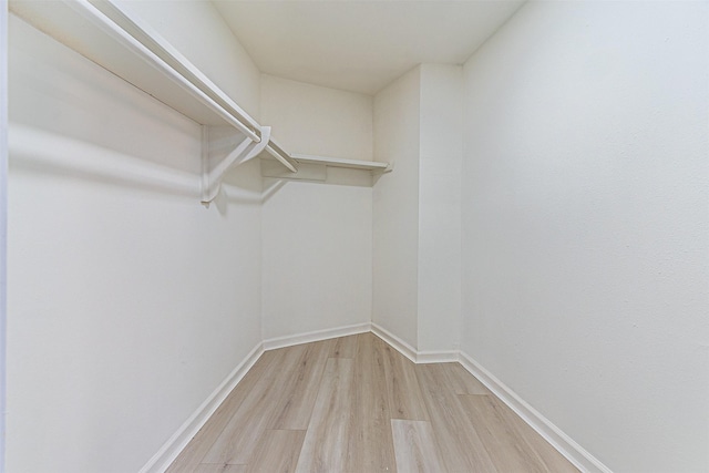 spacious closet featuring light wood-type flooring