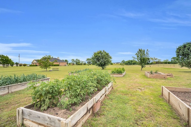 view of yard with a rural view