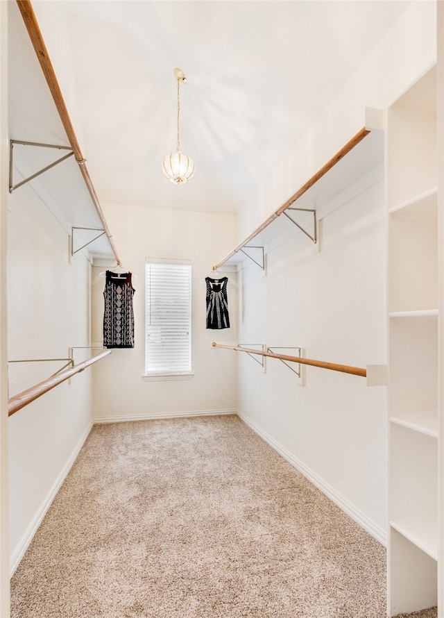 spacious closet featuring carpet flooring