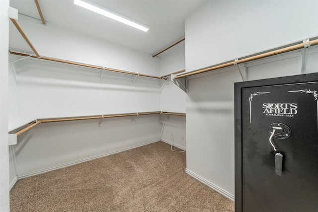 spacious closet featuring carpet