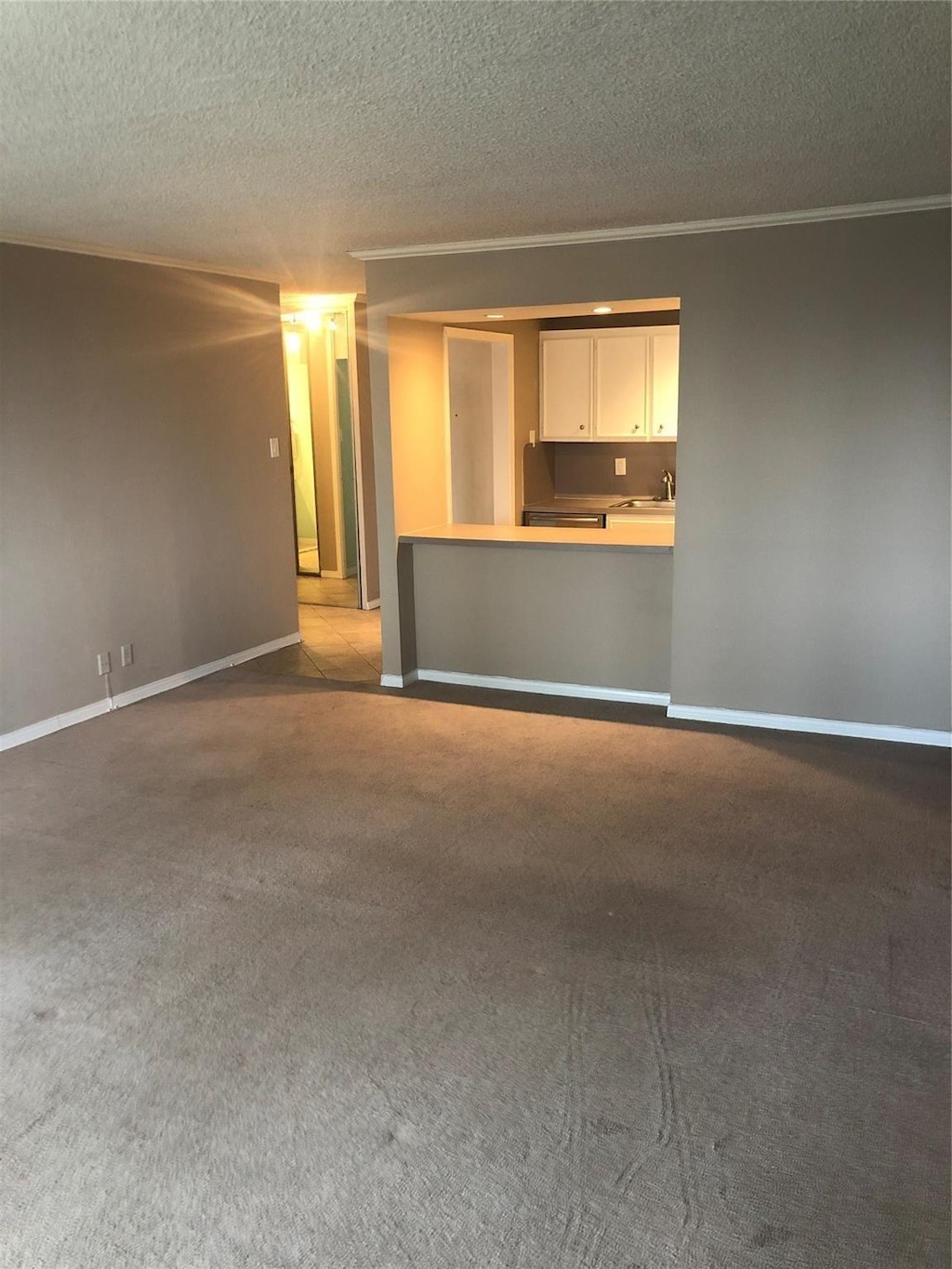 unfurnished living room with crown molding, sink, light carpet, and a textured ceiling