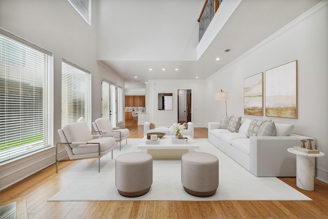 living room with a high ceiling and light hardwood / wood-style floors