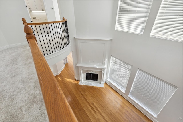 stairs with a premium fireplace and carpet floors