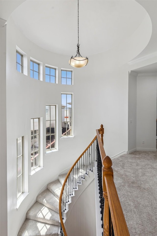 stairway with carpet floors