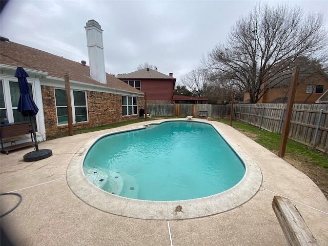 view of pool featuring a diving board and a patio area