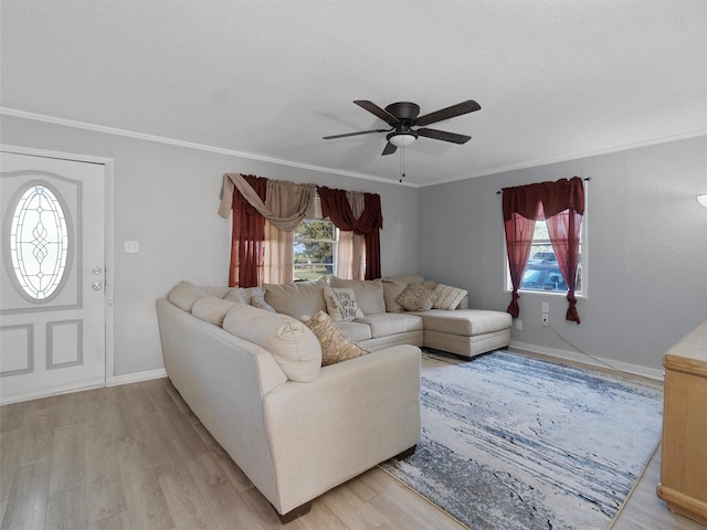 living room featuring ceiling fan, ornamental molding, and light hardwood / wood-style flooring