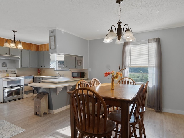 dining room with sink, a textured ceiling, a chandelier, and light hardwood / wood-style flooring