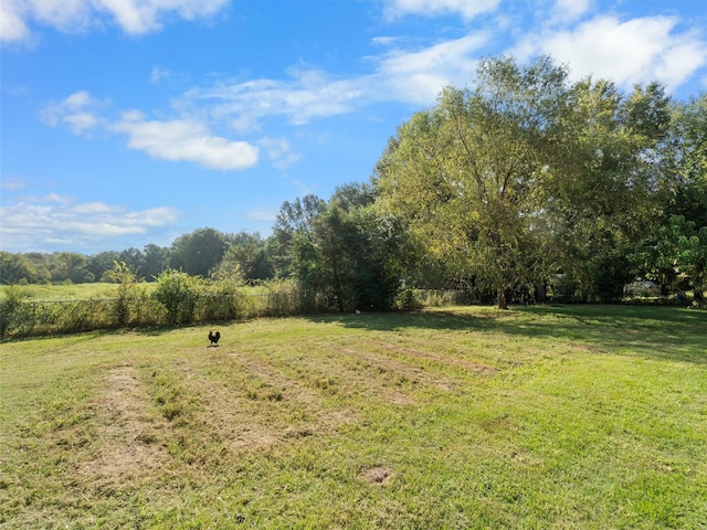 view of yard featuring a rural view