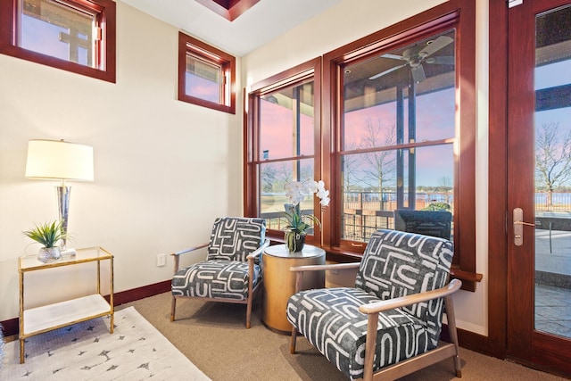 sitting room with carpet