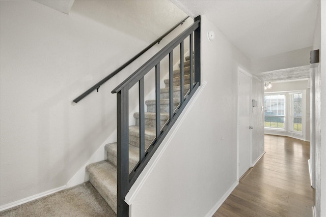 stairway featuring hardwood / wood-style floors