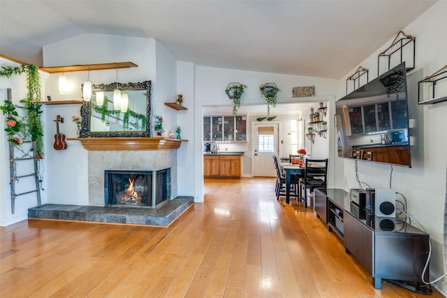 living room with lofted ceiling, a fireplace, and wood-type flooring