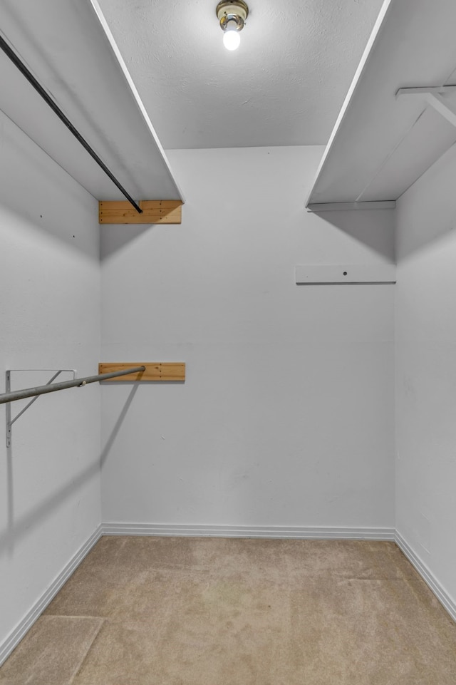 spacious closet with light colored carpet