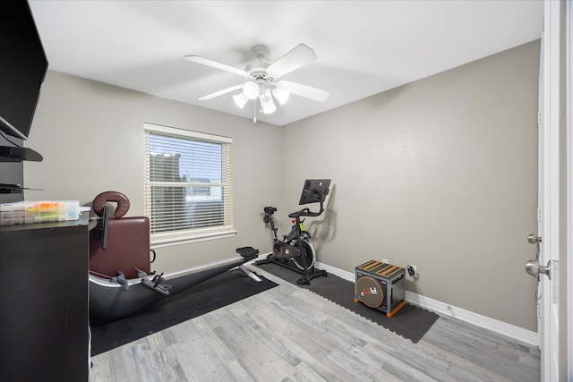 exercise room featuring ceiling fan and light hardwood / wood-style flooring