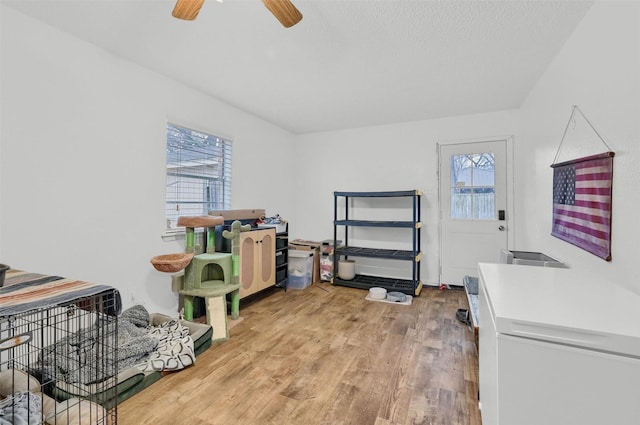 misc room featuring ceiling fan, hardwood / wood-style floors, and a textured ceiling