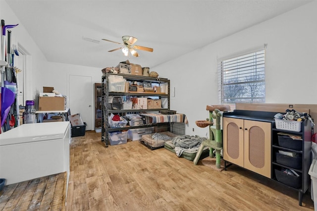 storage room with ceiling fan