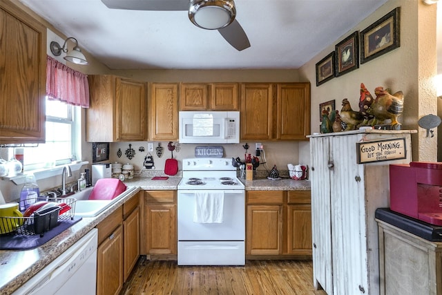 kitchen featuring sink, white appliances, light hardwood / wood-style flooring, and ceiling fan