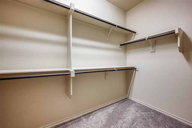 spacious closet featuring carpet floors