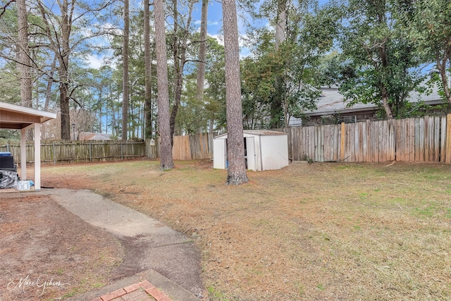 view of yard featuring a shed