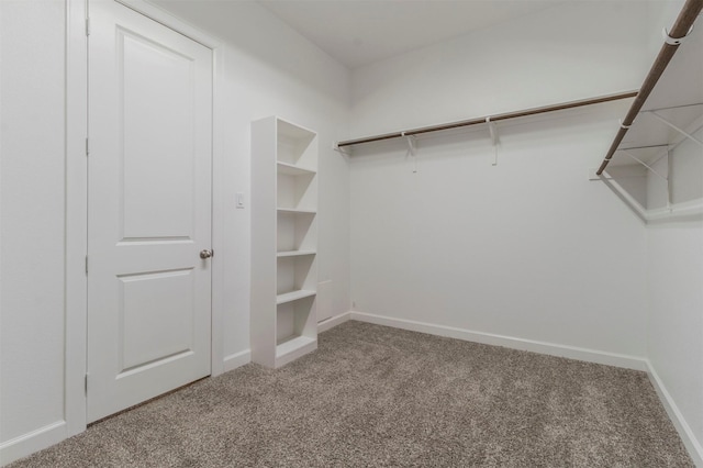 spacious closet featuring carpet flooring