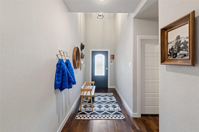 doorway to outside featuring dark hardwood / wood-style flooring