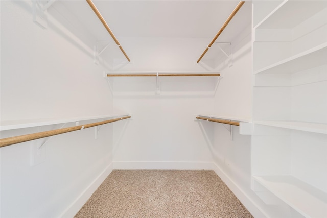 walk in closet featuring carpet floors