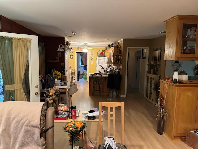 living room with ceiling fan and light hardwood / wood-style flooring