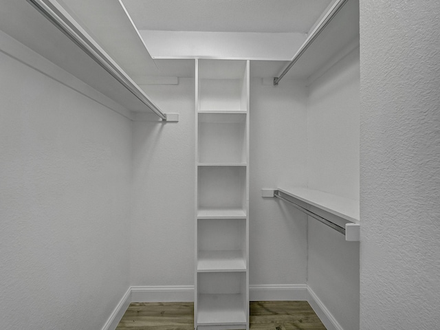 spacious closet with hardwood / wood-style floors