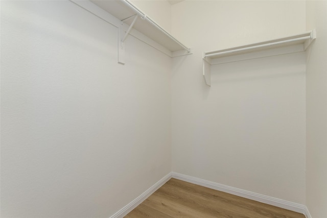 spacious closet with wood-type flooring