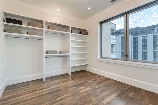 walk in closet with dark hardwood / wood-style flooring