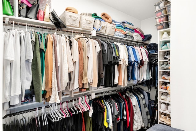 view of spacious closet