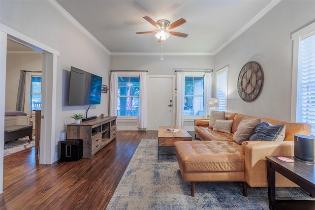 living room featuring ornamental molding, ceiling fan, and dark hardwood / wood-style flooring