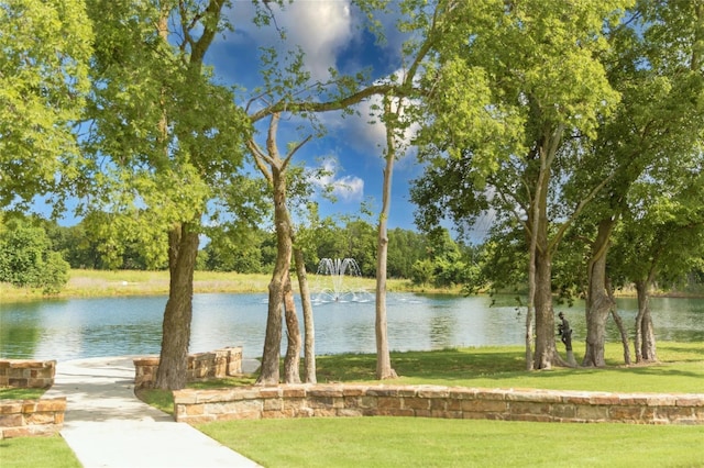 view of water feature