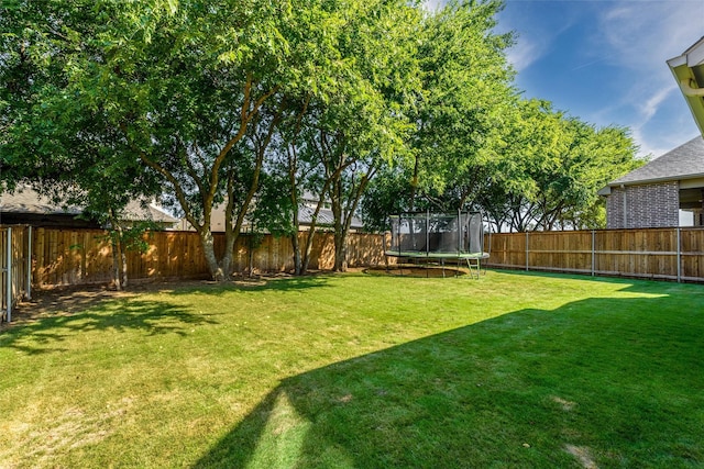 view of yard featuring a trampoline