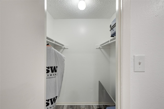 spacious closet with wood-type flooring