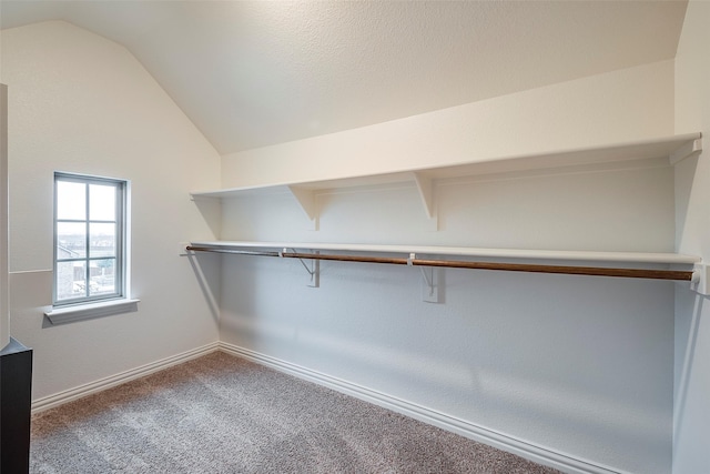 walk in closet featuring lofted ceiling and carpet flooring