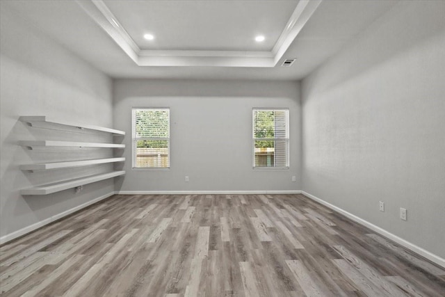 empty room with a raised ceiling, a healthy amount of sunlight, and light wood-type flooring